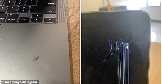 Another person managed to damage the screen of their laptop by closing it on a single grain of rice