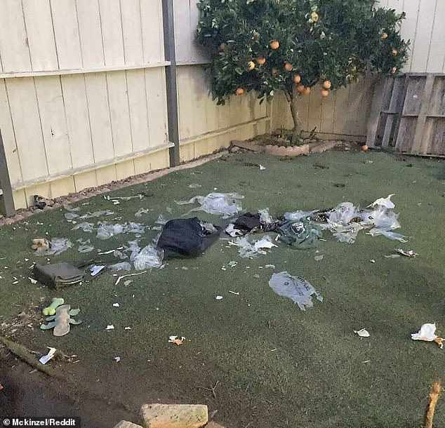Bad Dog!  This unfortunate woman tried an expensive clothing rental store, but when the packages were delivered and left in her back garden, her two puppies tore the clothes to shreds