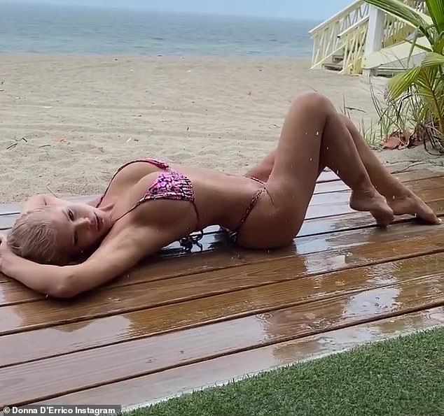 Looking good: Donna D'Errico showed off her timeless beauty as she flaunted her toned physique in a tiny string bikini on Instagram