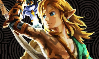 Zelda Tears of the Kingdom: The Artbook has been leaked in full, watch out for spoilers!
